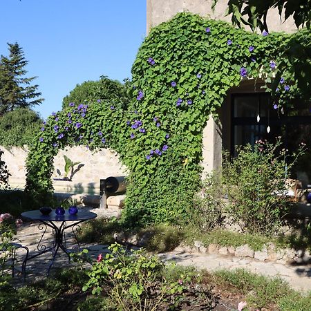 Bed and Breakfast Aux Pots Bleus Nissan-lez-Enserune Exterior foto